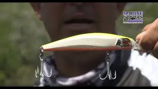 Lançamento Rei do Rio 120 - Isca artificial de meia água - Marine