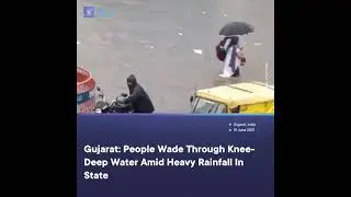 Gujarat: People Wade Through Knee-Deep Water Amid Heavy Rainfall In State