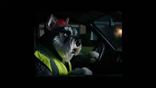Nighttime Deliveries