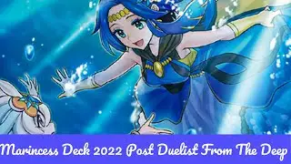 Marincess Deck Profile 2022 Post Dimension Force
