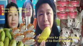 Aaj Mai Beta ka Room Clean Ki. Delicious Lemon Juice At Home / Cat cot Sterilize Kiya village vlogs.
