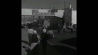 Marilyn Monroe working in a fish cannery. 