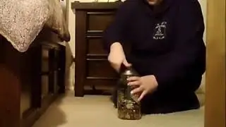 Camera cach&eacute;