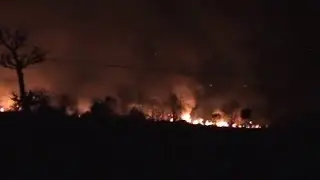Forest fire along LoC in Poonch