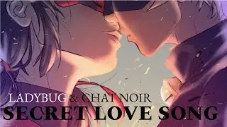 Miraculous Ladybug & Chat Noir | Secret Love Song