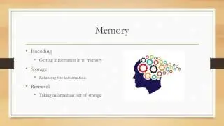 The Information Processing Approach