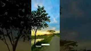 unbelievable bike journey through assam's breathtaking landscapes | assam environment view