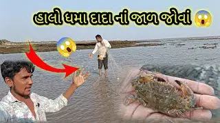 હાલો ધમા દાદા નાં જાળ જોવાં 😱 કેટલું મચ્છી આવ્યું 😱ketlu machi aaviyu 😱 ll Vishal shiyal vlog ll 