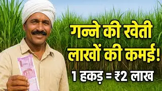 &ldquo;Earning Lakhs from Sugarcane Farming | Sugarcane Farming Business 2025&rdquo;