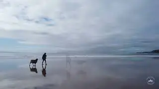 Ever seen a sheep going for a beach walk?