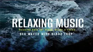 Sea Waves Sound | Relaxing Ocean Waves for Sleep, Study & Focus