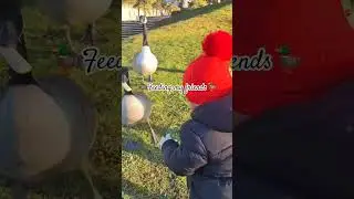 Feeding my friends #babyvideos #babyshorts #cutebaby #viral #viralshorts #babymonkey
