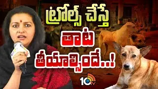 Renu Desai On Society Over Stray Dogs | ట్రోల్స్ చేస్తే తాట తీయాల్సిందే..! | 10TV News