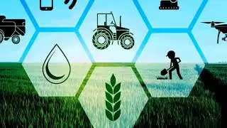 Bsc Agriculture क्या है ? जानिए पूरी जानकारी 👈 scope क्या है ?