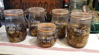 COMMENT FAIRE DES CONSERVES DE CÈPES ET BOLETS