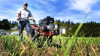 The Market Garden Farmer &ndash; Vegetable Farm Overview