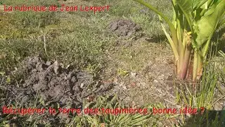 R&eacute;cup&eacute;rer la terre des taupini&egrave;res, bonne id&eacute;e? - Monjardindansleslandes