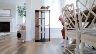 The Cali Cat Tree | Modern Cat Furniture That Elevates Your Home