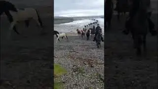 Just Crossed A Lake With a Herd of Horses Following Us !