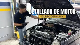 Guía Completa | Técnicas Correctas para el Detallado de Motor