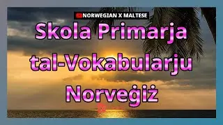 Skola Primarja tal-Vokabularju Norveġiż | Golearn