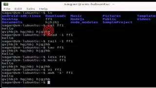 How to view contents of text file in Linux Shell terminal