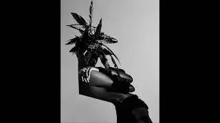 Kendrick Lamar Experimental 
