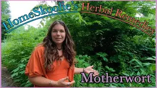 Motherwort ~ Homeskoolie's Roadside Remedies with Stephanie Mathews