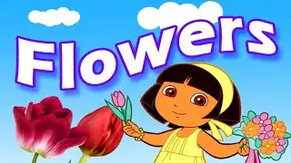 10 flowers  Name in English for kids ||flowers  Name with urdu meaning || Hamaray Kids