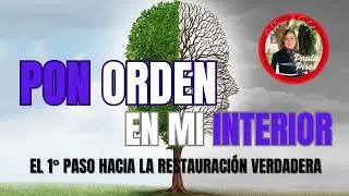 ❤️&zwj;🩹PON ORDEN en mi mundo Interior: El primer paso hacia la Restauraci&oacute;n- Paula Pires