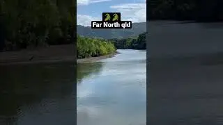 Mr & Mrs Croc Far North QLD