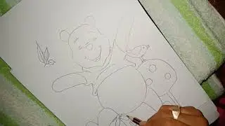 How to draw sun bear, drawing for kids