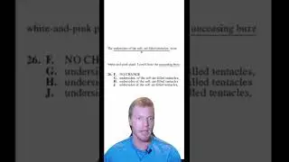 How to get a 36 on the ACT English section 🧠#shorts