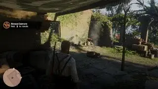 Red Dead Redemption 2 New World