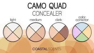 Coastal Scents Camo Quad Concealers