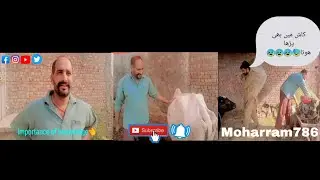 Importance Of Knowledge👈 |Changing Habbits |Success |Bright Future