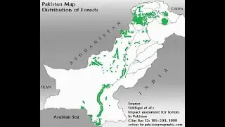 Forest land conversion dynamics: a case of Pakistan