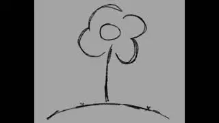 Test Animation 