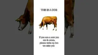 that's a dog bro wake up.#shorts #memes