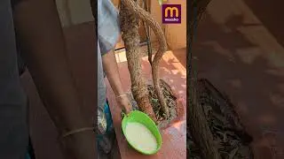 Rice washing bowl #meesho #meeshofinds #meeshosale #reels #kitchengadgets #kitchentools #ricebowls