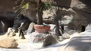 Santa Barbara Zoo, Tillit