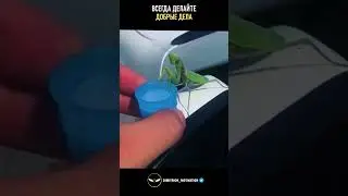Всегда делайте добрые дела #совет
