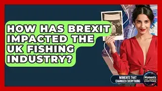How Has Brexit Impacted The UK Fishing Industry? - Moments That Changed Everything