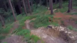 trail prasiva