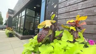4K Business District Clayton MO 🇺🇸Virtual Walk
