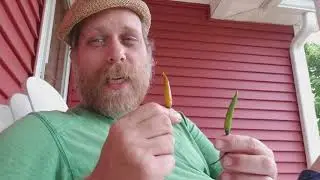 Lao Pepper Review