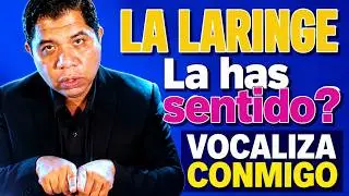 CÓMO cantar bien con tu laringe ! │ Vocalizaciones para tu registro │ Canta con tu voz correctamente