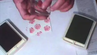 Making DSP With Stippled Blossoms Stamp Set