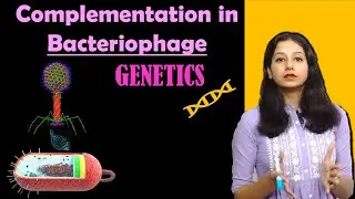 Complementation in Bacteriophage I Genetics I Inheritance Biology I