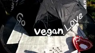 Easy Vegan Activism with Umbrellas